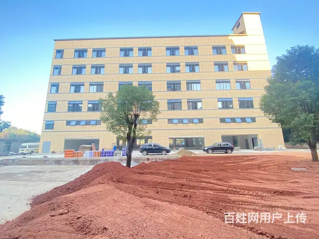 （房东直租）浏阳淳口镇大型商铺，厂房，仓库招租，可分租 - 图片 6