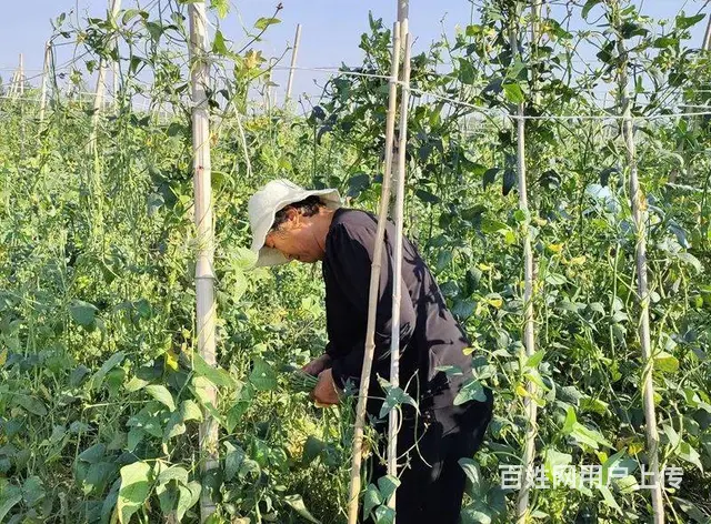 常德到长沙网约车拼车商务车私家车小车队电话‌‌ - 图片