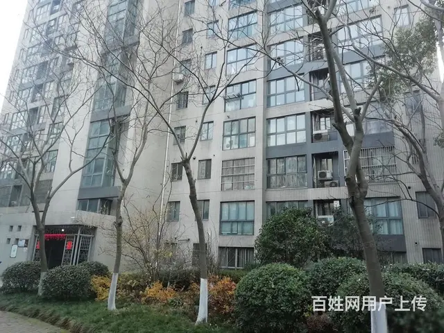 博小北郊金新鼎邦旁青山湾花苑 低层双阳台 通透精装 - 图片 12