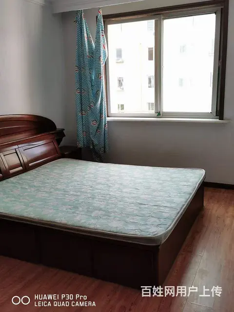 房屋出租 - 图片 6