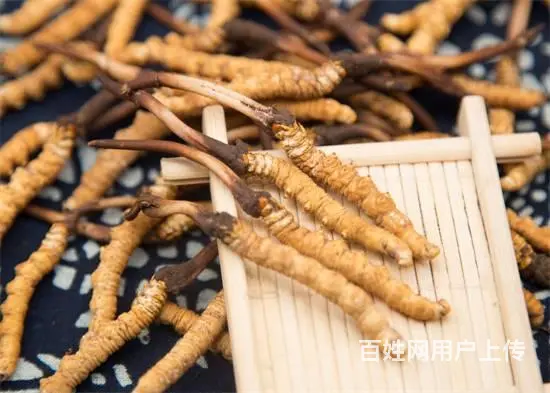 洛阳全面提高回收冬虫夏草价格/洛阳回收燕窝鱼胶当面 - 图片 5