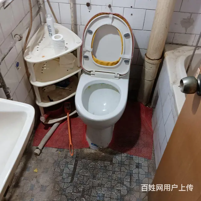 【搞定了！】风景区小户型住房 - 图片 5