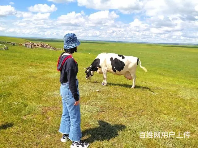 呼伦贝尔根河漠河旅游包车师傅排名常师傅靠谱 - 图片 1