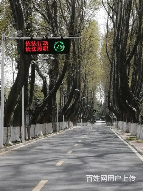徐州LED显示屏 液晶拼接屏监控道闸 发光字 - 图片 9
