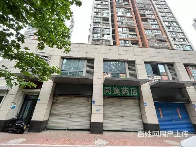 一拖二！单价九千，世纪华城商铺直签，中吴大道旁，弘阳广场 - 图片 10