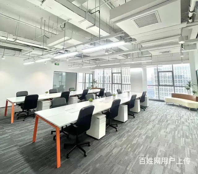 成都银泰城高新区天府四街精装20+200工位出租 - 图片 5