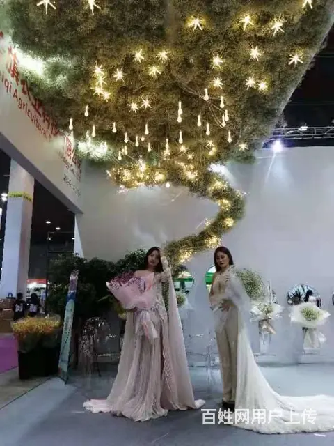 昆明斗南花卉批发市场美旗花卉基地直发满天星康乃馨 - 图片 7