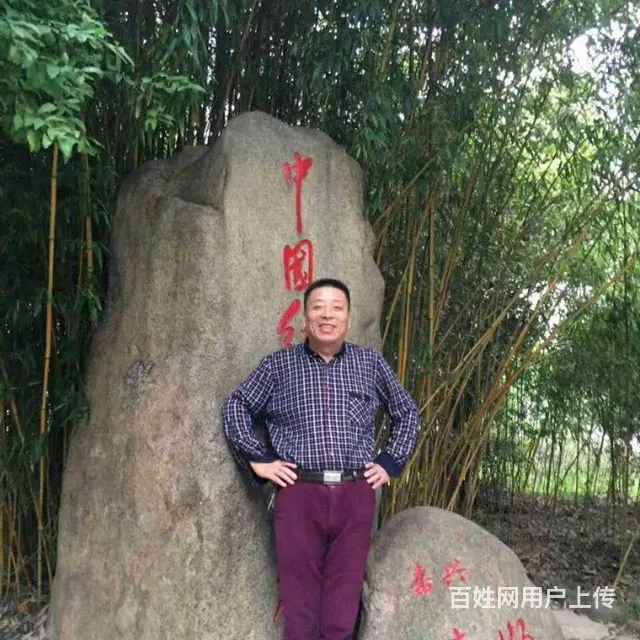 寻找人生伴侣 - 图片 1
