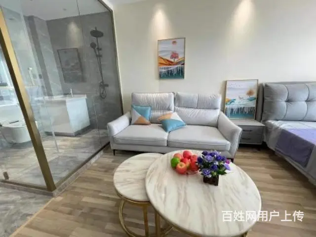 首付5个W！均价7千多！紫云府公寓！天宁弘阳广场对面地铁口旁 - 图片 7