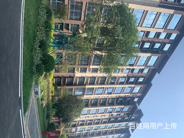 观澜湾超优质户型电梯房 - 图片 1
