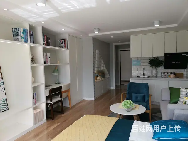 5纷种高铁站7纷种到明湖星荟城可挑高公寓通燃气民用电 - 图片 8