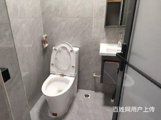 水果市场商圈    天鹅花园3房2卫 - 图片 10