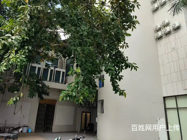 （51旺铺推荐）儋州独栋两层1200平商铺招租 - 图片 3