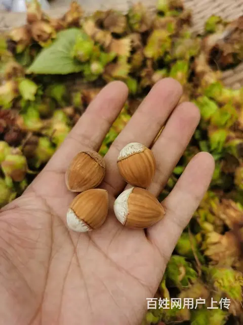望花区干果炒货门口卖货 - 图片 9