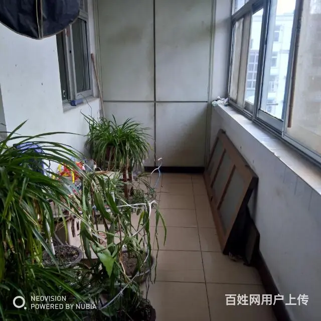 〈个人）信阳市新华东路盐业小区 - 图片 1