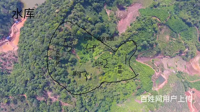 西双版纳勐海县自家南糯山50亩林地租售/寻合作 - 图片 2