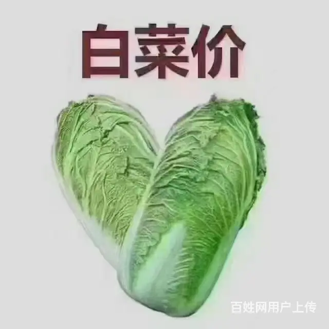 水岸华城 - 图片