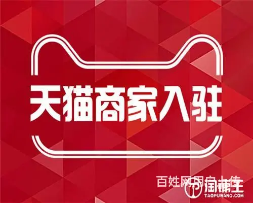 专业策划，代写天猫计划 - 图片 1