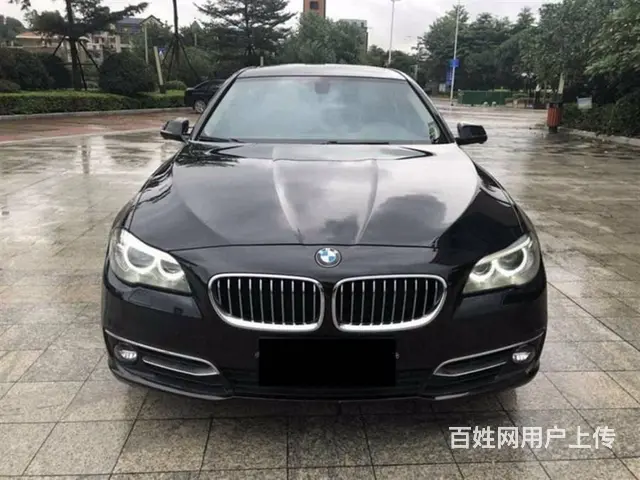 宝马5系 2014款 525Li 2.0T 手自一体 豪华设 - 图片 4