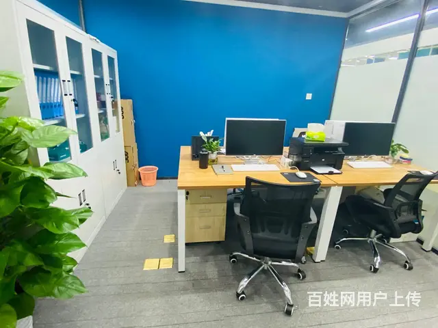 税务代办/咨询：专业财税顾问税务、日常报税、税控机 - 图片 2