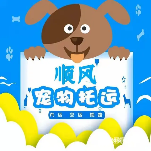 2022安宁市到全国）宠物托运（猫狗）邮寄快递（宠物活体运输 - 图片 6