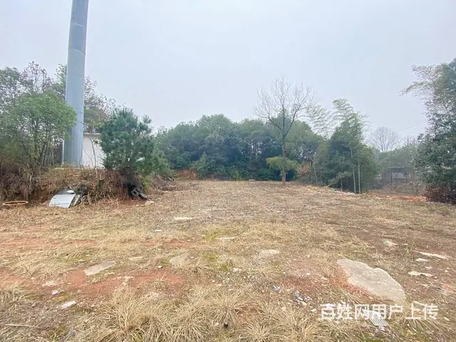 (房东直租)黄花镇松雅湖旁450平厂房，带2亩场地优价出租 - 图片 8