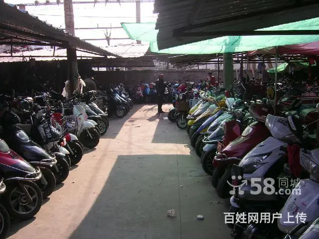 郑州专业销售各种二手电动车,自行车,电三轮市场 - 图片 5