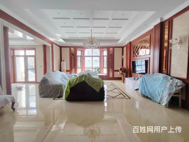 特推群力双拼里的   ，汇锦庄园双拼别墅大院带车库 - 图片 9