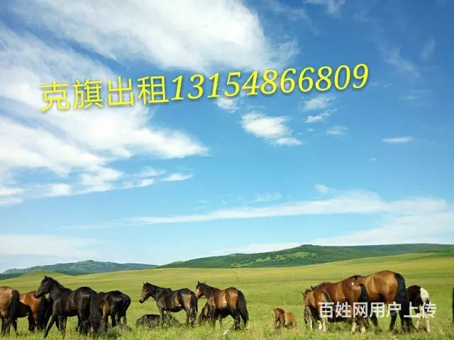 克旗旅游包车 - 图片 4