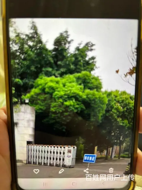 余先找个伴 - 图片