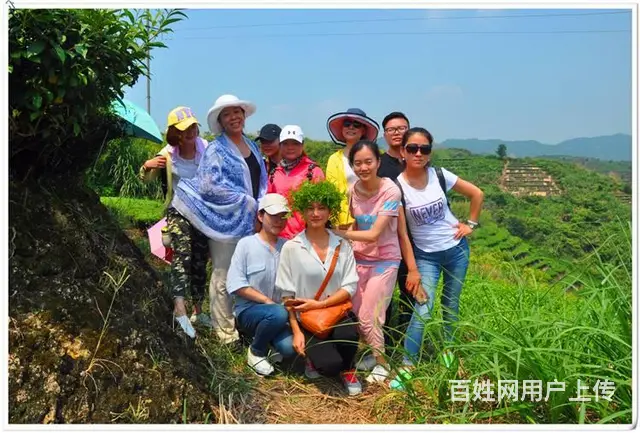学员问天晟茶艺培训学校：茶艺课程的收获和感想 - 图片 8