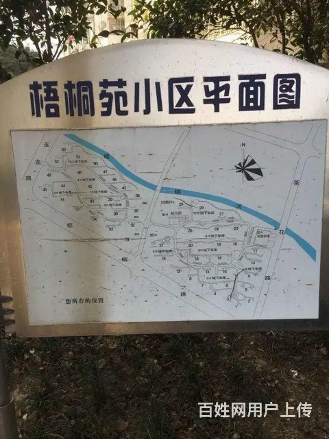 青枫公园宝龙广场 梧桐苑 精装修2房价格包物业拎包 - 图片 4