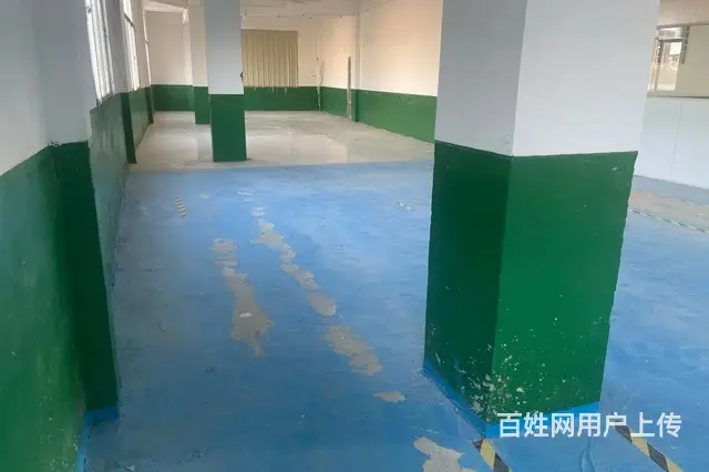 东海厂房出租 交通便利 租金优 - 图片 6