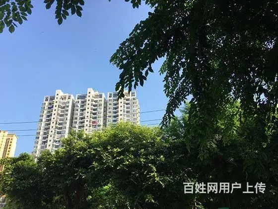 北海房屋车辆绿本商业银行贷款代办,省外车牌也可以贷款 - 图片 3