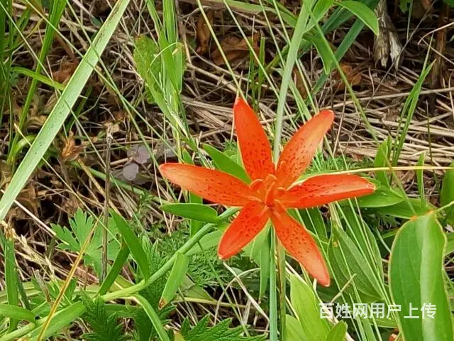 呼伦贝尔旅游包车师傅排名常师傅靠谱 - 图片 12