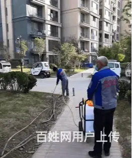 商丘灭蟑螂电话丶商丘绿佳环保 - 图片 2