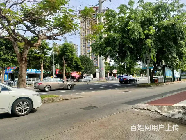 （51旺铺推荐）城西苍峄路250平临街旺铺转让 - 图片 6