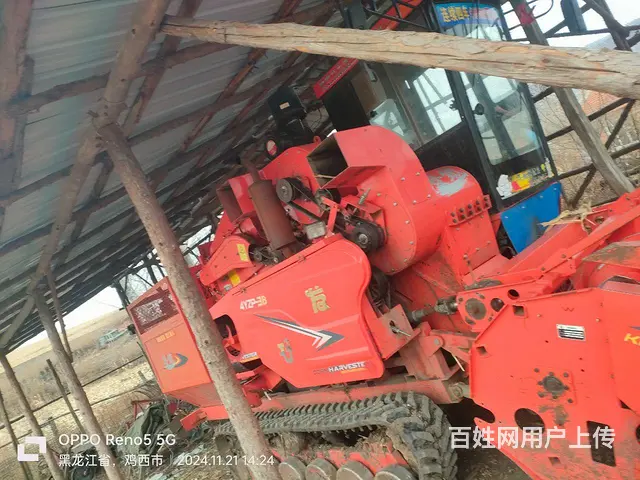 新换的鞋，小车 - 图片 2