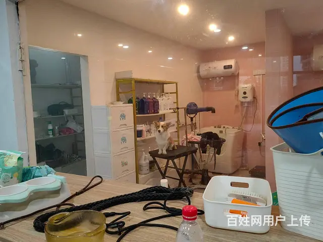 （51旺铺推荐）保利中央海岸熙园150平宠物店转让 - 图片 4