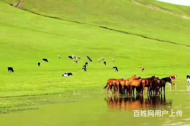 呼伦贝尔旅游包车师傅推荐好的包车师傅 - 图片 1