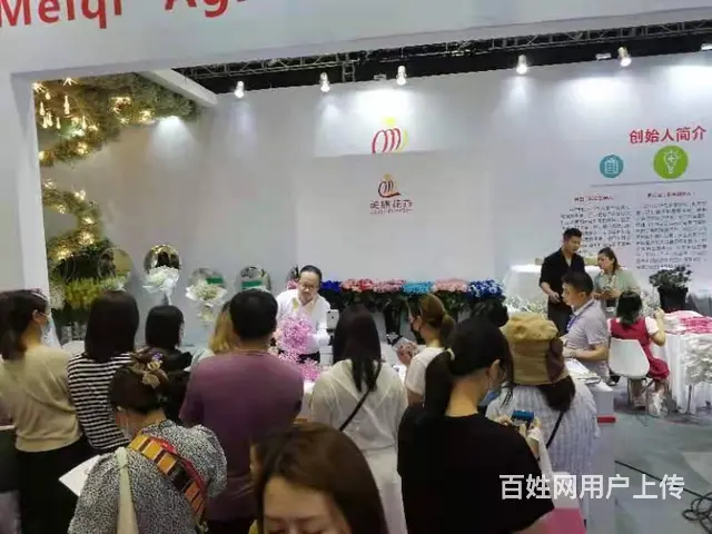 昆明斗南花卉批发市场美旗花卉基地直发满天星康乃馨 - 图片 6