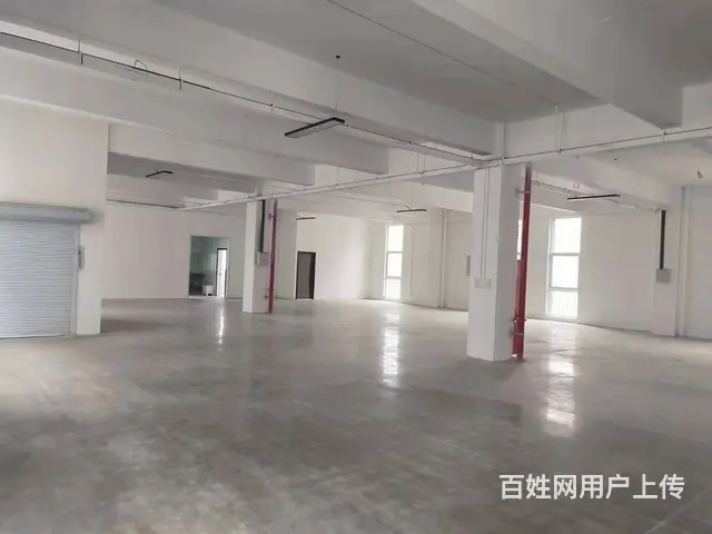 （城市在线找房免费）金山桥杨山路框架结构厂房出租 - 图片 8