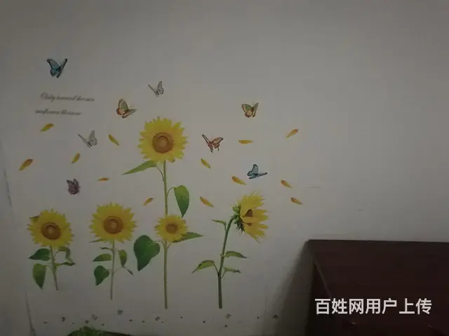 揭东锡场镇集资楼三房二厅出租 - 图片 7