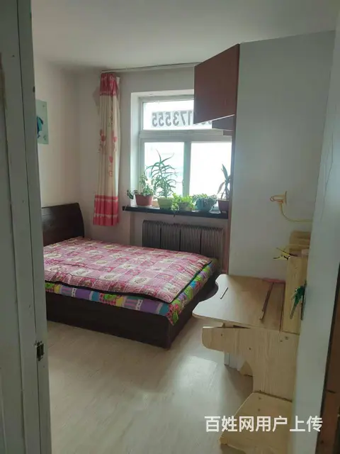 有房出租 - 图片 4