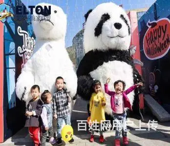 卡通玩偶服租赁，款式多多 - 图片 5