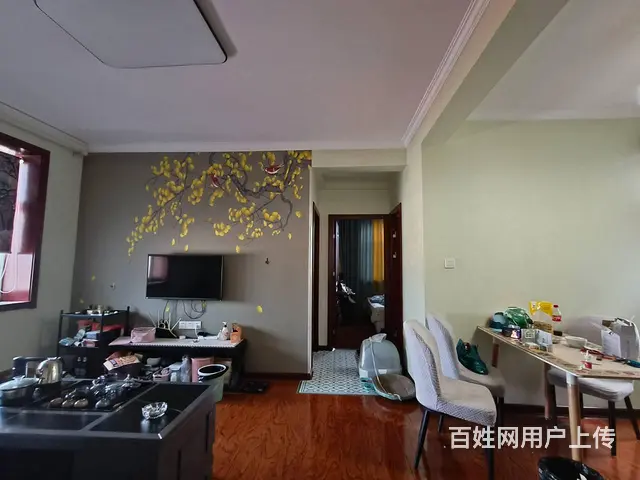 【搞定了！】天河北路 中海左岸 29楼 安置房，可改名 - 图片 3