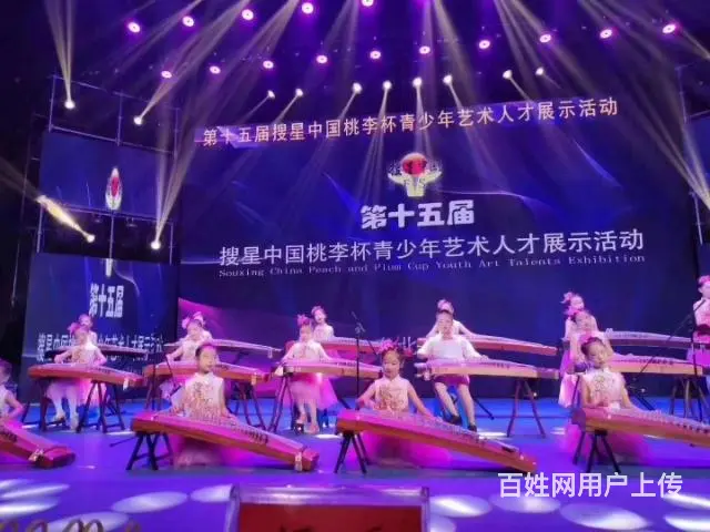 沈阳教成年人速成学古筝可以直接弹曲子 - 图片 6