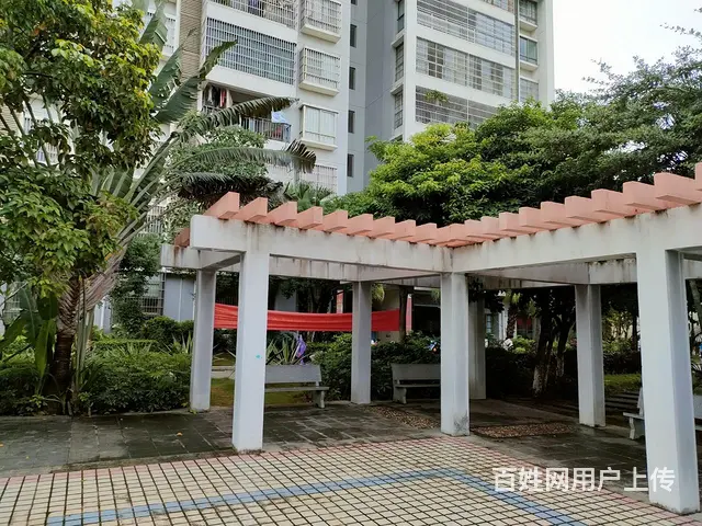 国兴商圈       夏瑶花苑1房精装修 - 图片 12