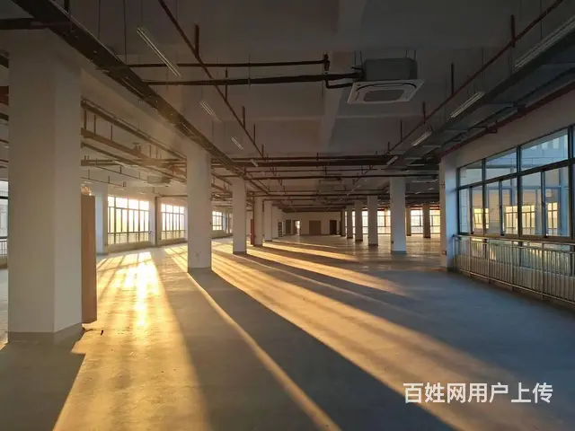 高新区厂房出租，配套齐全，各种补贴 - 图片 10