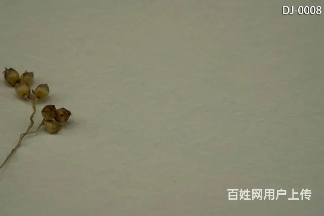 淘宝主图拍摄产品头图摄影摄像视频录制剪辑 - 图片 5
